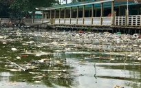 Đảo ngọc Phú Quốc 'tổn thương' trầm trọng vì rác thải, nước thải