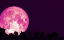 Người Sài Gòn hút hồn trước Siêu trăng hồng đẹp kỳ ảo và lớn nhất năm 2021
