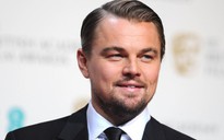 Leonardo DiCaprio làm phim về vụ bê bối của Volkswagen