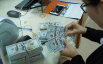 Giá ngoại tệ ngày 9.1: USD tự do tăng