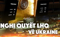 Xem nhanh: Ngày thứ 8 chiến dịch quân sự của Nga tại Ukraine