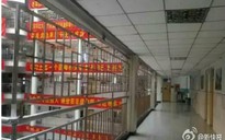 Trung Quốc: Trường học dựng rào 'chống tự tử' trước kỳ thi đại học