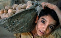 Những hình ảnh buồn về lao động trẻ em khắp thế giới