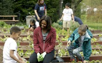 Đệ nhất phu nhân Michelle Obama lần cuối trồng rau ở Nhà Trắng