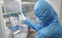 Phú Yên: Ghi nhận thêm 15 ca dương tính Covid-19 mới; 205 ca khỏi bệnh
