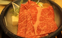 Đến Gifu thưởng thức thịt bò Hida