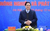 Thúc đẩy xây dựng thương hiệu quốc gia cho nông sản Việt