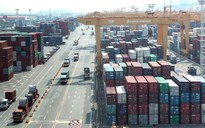 WTO giảm mạnh dự báo tăng trưởng thương mại thế giới