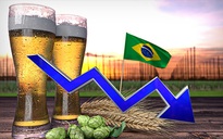 Hãng bia lớn nhất thế giới gặp khó vì người Brazil bớt nhậu