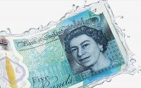 Người ăn chay phản đối vì tiền giấy Anh sử dụng mỡ động vật