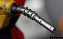 Giá dầu duy trì 50 USD/thùng nếu OPEC thực hiện hạ sản lượng