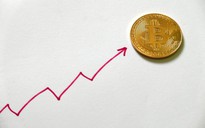 Bitcoin bất ngờ tăng giá đến 12%