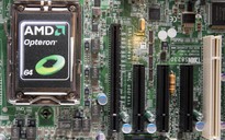 AMD được dự báo giành thị phần từ Intel
