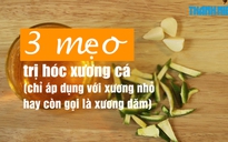 Mẹo vặt: Trị hóc xương cá