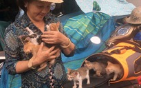 Bốn phụ nữ làm osin, lượm ve chai ở Sài Gòn giải cứu hơn 10.000 con mèo