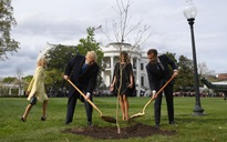 Cây tượng trưng ‘tình huynh đệ’ do 2 Tổng thống Trump, Macron trồng đã biến mất