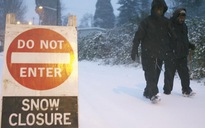 Seattle hứng bão tuyết lớn nhất trong 70 năm