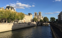 Cháy Nhà thờ Đức Bà Paris: Bàng hoàng từ những người Việt từng đến nơi này