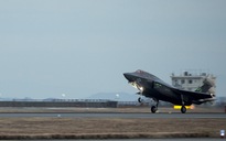 Chim đâm gây tổn thất hàng triệu USD cho F-35B của Mỹ