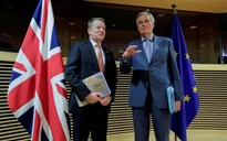 Đàm phán hậu Brexit gặp nguy cơ khi trưởng đoàn nhiễm COVID-19