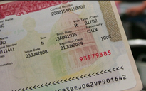 Mỹ mở rộng thời gian gia hạn thị thực qua đường bưu điện đến 48 tháng