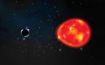 Phát hiện hố đen gần Trái đất nhất