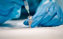 Pfizer bắt đầu sản xuất liều vắc xin phòng biến thể Omicron