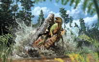 Hóa thạch hé lộ cá sấu ‘sát thủ’ cổ đại nuốt chửng khủng long trước khi chết