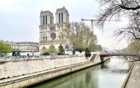 Nhà thờ Đức Bà Paris dần hồi sinh kể từ vụ cháy năm 2019