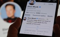 Tỉ phú Musk chờ người 'đủ ngu ngốc' chịu thay chức CEO Twitter