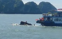 Tai nạn nghiêm trọng trên vịnh Lan Hạ, 1 du khách tử vong