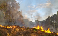 Cháy rừng đặc dụng ở Huế, biển lửa uy hiếp đường dây 220 kV