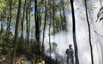 Thừa Thiên - Huế: Cháy rừng bùng phát trở lại ở TX.Hương Thủy