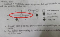 Đề thi gây tranh cãi: Một ông 'kết hôn' với hai bà