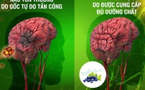 Nguy cơ đột quỵ ‘chực chờ’ vì mất ngủ