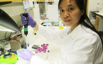Nhật ký Blouse trắng - Kỳ 6: Nữ tiến sĩ và chương trình thuốc mới 'made in VN'
