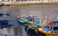 Phó bí thư Tỉnh ủy Bình Thuận khảo sát ô nhiễm sông Cà Ty