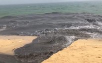 'Dòng nước đen đổ ra biển Phú Quốc': Tổng cục Môi trường ra chỉ đạo