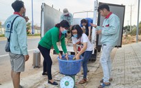 Người trẻ ở Phú Quốc 'giải cứu' hơn 24 tấn dưa hấu cho nông dân Gia Lai