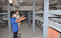 Kiên Giang: 2 công nhân cắt trộm gần 700 m dây cáp điện của nhà máy