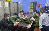 Thừa Thiên - Huế: Bắt được nhóm trộm cau hành hung thầy giáo đến nhập viện