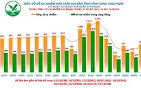 Tin tức Covid-19 Vĩnh Long ngày 7.1: Thêm 699 ca mắc mới và 14 ca tử vong