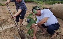 Phú Quốc: Phát động trồng rừng trên 40 ha diện tích đất vi phạm đã thu hồi
