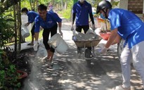 'Biệt đội' tình nguyện làm sạch, đẹp đường quê