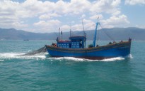 Một ngư dân mất tích trên biển khi đang đánh bắt gần đảo Phú Quý