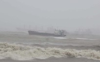 Kiến nghị Chính phủ giải cứu thuyền viên trên các tàu bị chìm ở biển Quy Nhơn