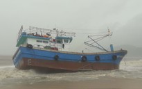 Hàng chục tàu bị chìm, bị tấp lên bờ ở vùng biển Quy Nhơn