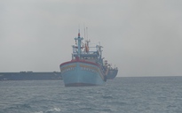 Cứu 2 ngư dân trên tàu cá bị chìm do bão số 2 ở vùng biển Hoàng Sa
