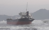 Bình Định: Tàu hàng bị mắc cạn trên biển do va phải đá ngầm