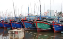 Bão số 9: Hai tàu cá Bình Định bị chìm, 26 ngư dân mất tích